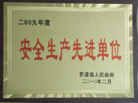 2009年度安全生产先进单位